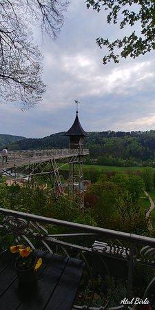 Sendigbaude
