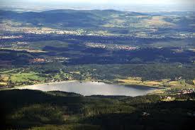 Sosnówka