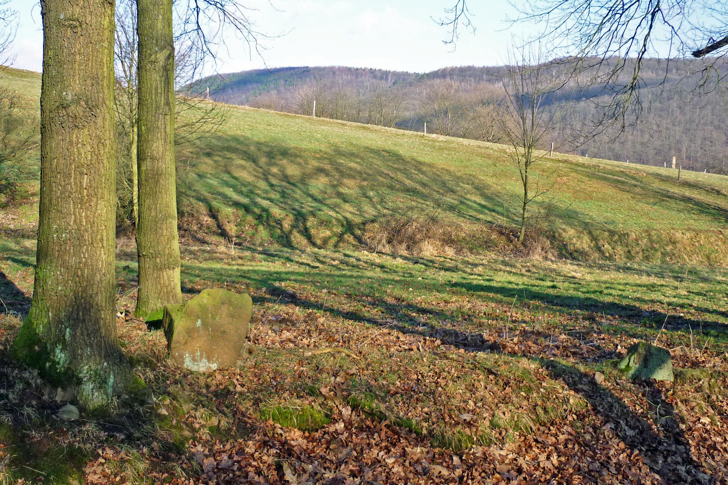 Franzosensteine