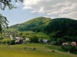 Luż