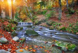Prirodni park Udoli Bystrice