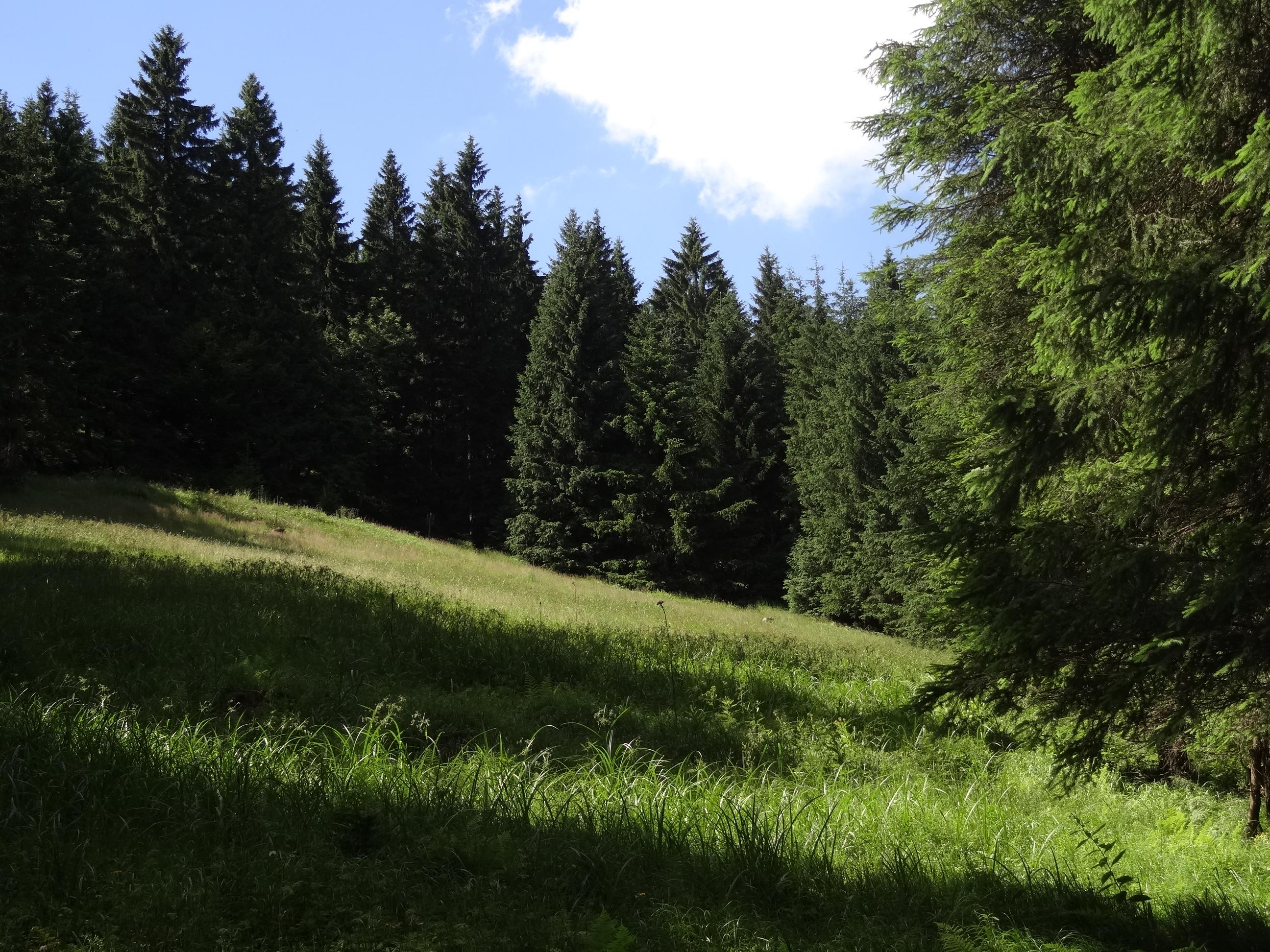 Pod Zakletym