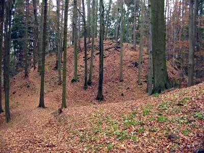 Hrad Pecin