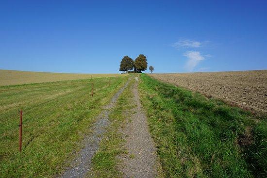 Hohburkersdorfer Rundblick
