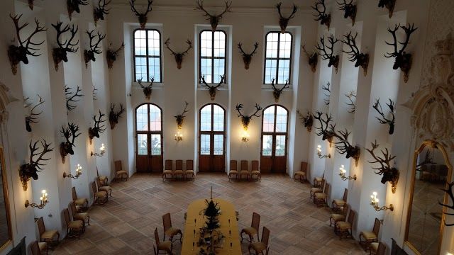 Pałac Moritzburg