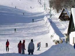 Petrovičky