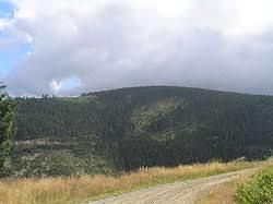 Podbelka